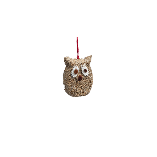 Owl with sunflower kernels