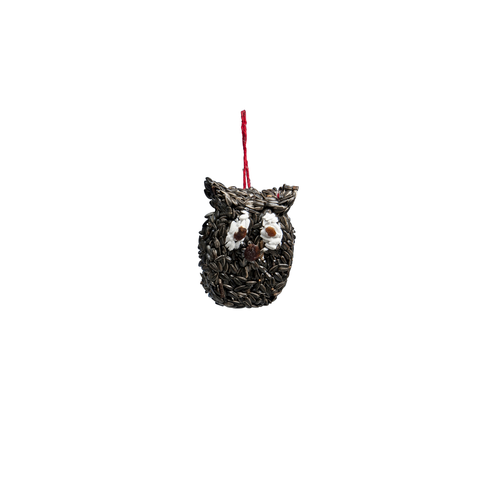 Owl with black sunflower seeds