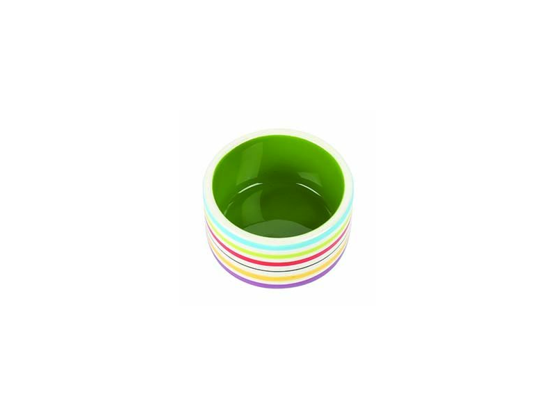 Rainbow Pet Bowl
