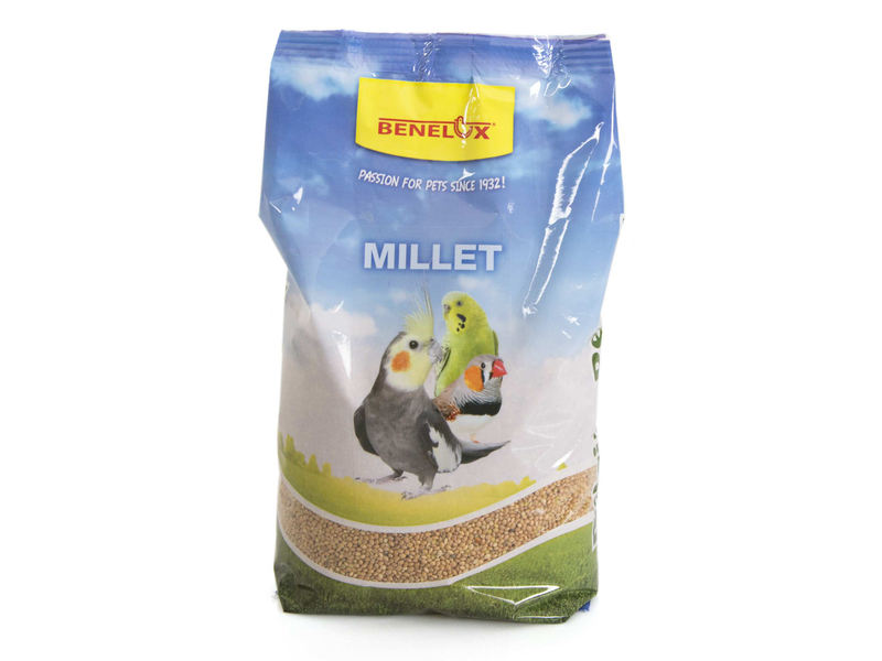 YELLOW MILLET NR1:SUPERIOR 1 KG
