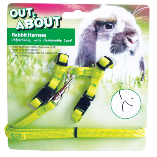 Rabbit Harness & Lead Set Green