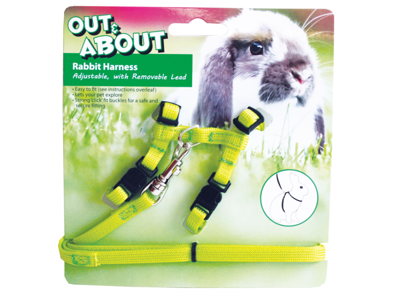 Rabbit Harness & Lead Set Green